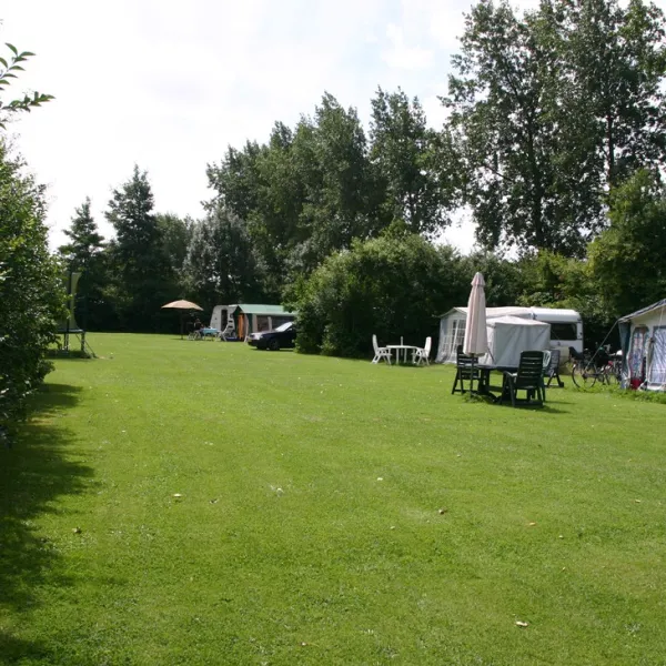 de-weidebloem-arnemuiden-yrgye