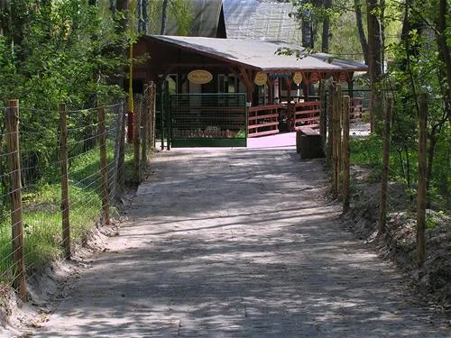 camping-tramp-koczewo-lnccx