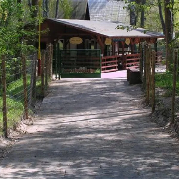 camping-tramp-koczewo-lnccx