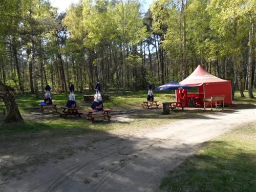 camping-tramp-koczewo-wxogs