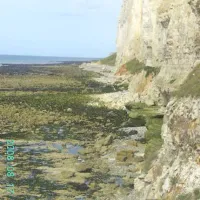 camping-la-source-hautot-sur-mer-1osn6