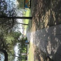 camping-village-il-tridente-bibione-pineda-zr00x