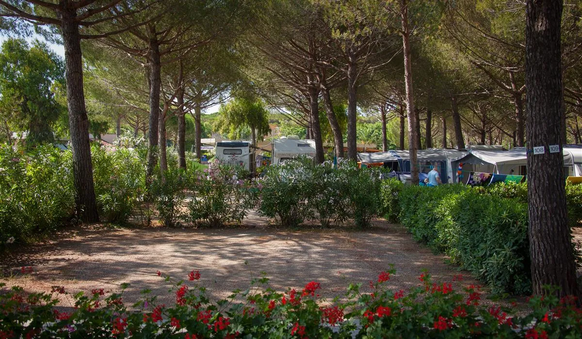 camping-mareblu-cecina-mare-0e4vq