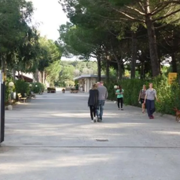 camping-mareblu-cecina-mare-rlqqg