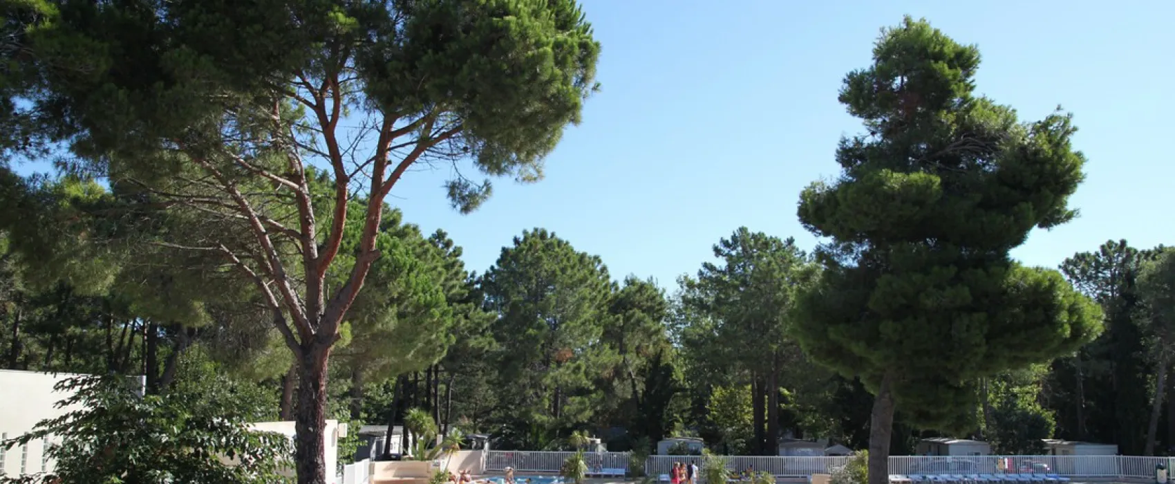 Camping Taxo Les Pins  