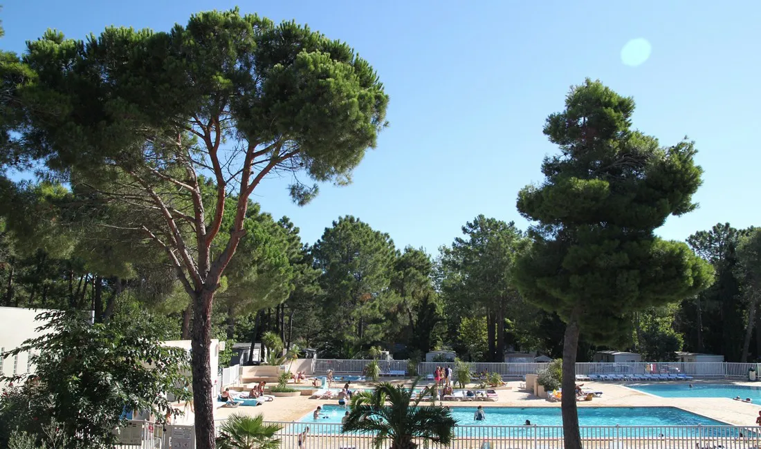 camping-taxo-les-pins-argeles-sur-mer-lnmww
