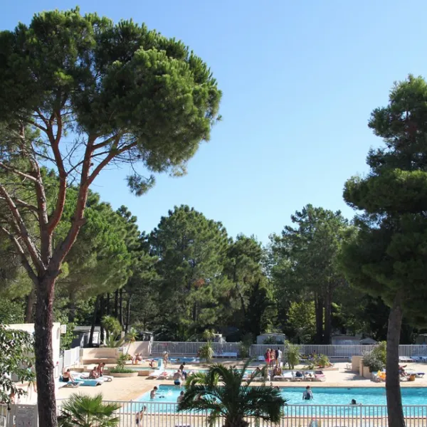 camping-taxo-les-pins-argeles-sur-mer-lnmww