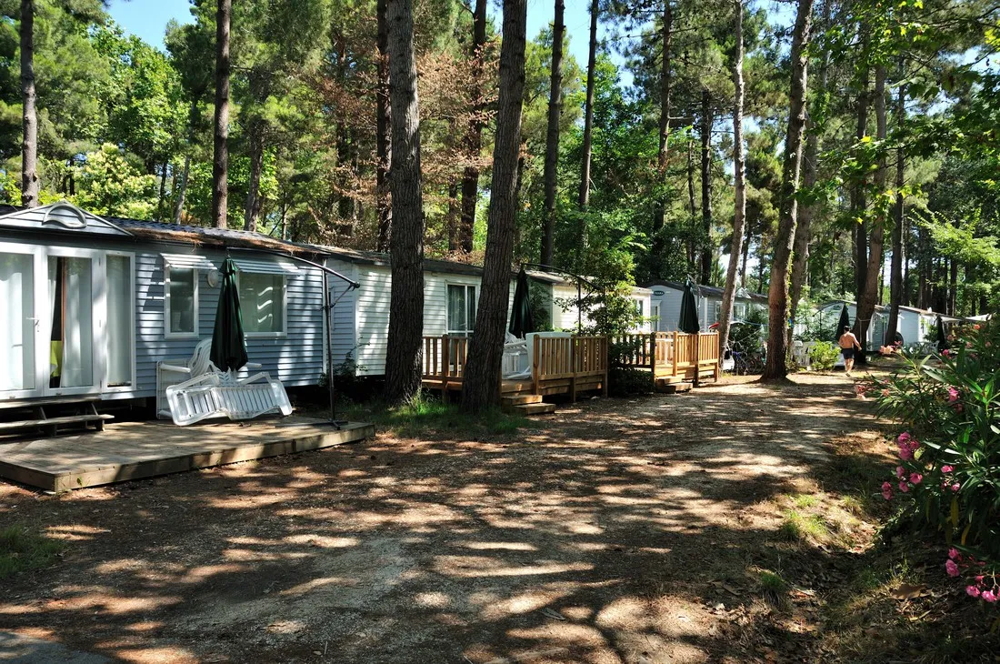 camping-taxo-les-pins-argeles-sur-mer-ojhwj