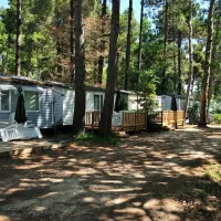 camping-taxo-les-pins-argeles-sur-mer-ojhwj