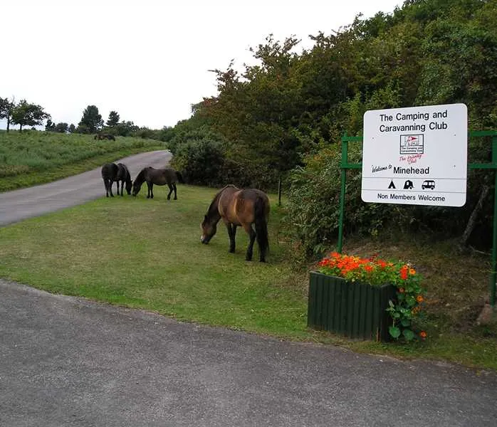 camping-and-caravanning-club-site-minehead-minehead-najxv