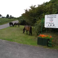 camping-and-caravanning-club-site-minehead-minehead-najxv