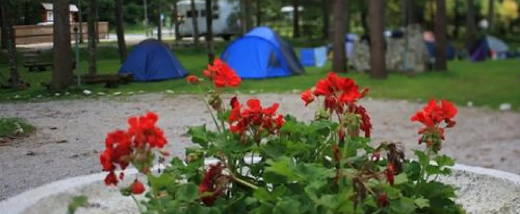 Kamp Alpe
