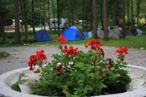 kamp-alpe-stahovica-cv5bb