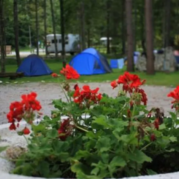 kamp-alpe-stahovica-cv5bb