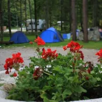kamp-alpe-stahovica-cv5bb