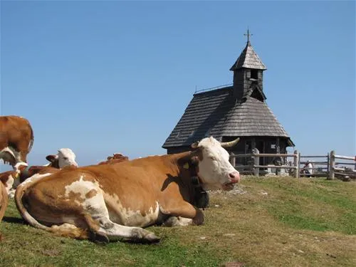 kamp-alpe-stahovica-l6ako