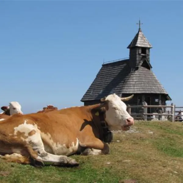 kamp-alpe-stahovica-l6ako