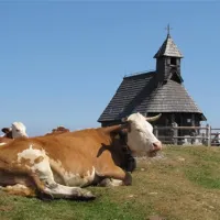 kamp-alpe-stahovica-l6ako