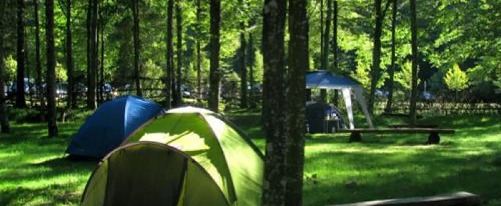 Kamp Alpe