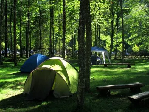 kamp-alpe-stahovica-u8pjc