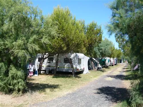 camping-rifugio-del-mare-vada-krnds