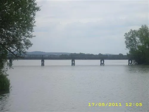camping-zum-fischermichl-gunzenhausenwald-efaop