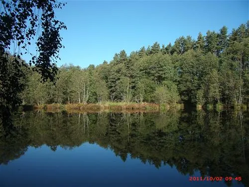 camping-zum-fischermichl-gunzenhausenwald-ijuui