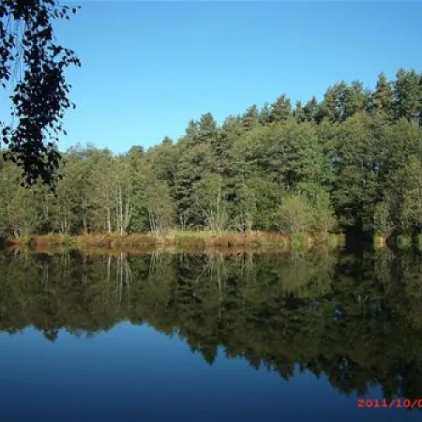 camping-zum-fischermichl-gunzenhausenwald-ijuui