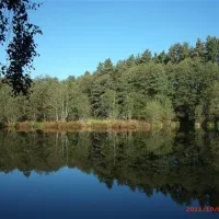 camping-zum-fischermichl-gunzenhausenwald-ijuui