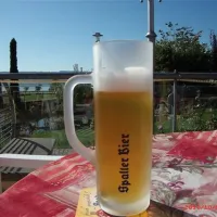 camping-zum-fischermichl-gunzenhausenwald-mre2r