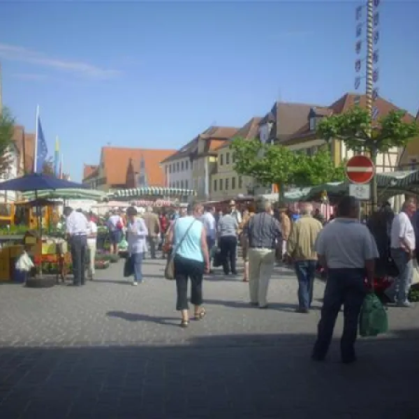 camping-zum-fischermichl-gunzenhausenwald-tpv1n