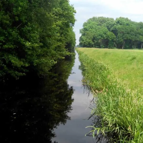 camping-de-eshoeve-een-gmfah