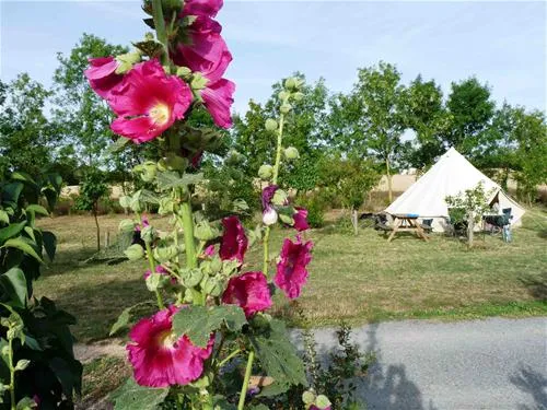 camping-le-verger-dompierre-sur-mer-l1jui