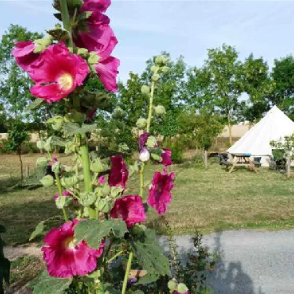 camping-le-verger-dompierre-sur-mer-l1jui