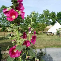 camping-le-verger-dompierre-sur-mer-l1jui