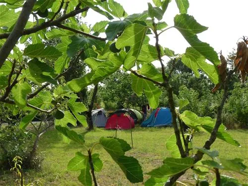 camping-le-verger-dompierre-sur-mer-olktu
