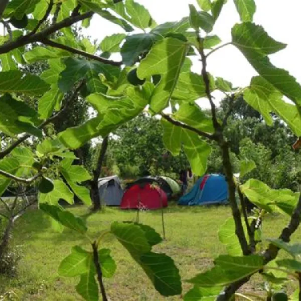 camping-le-verger-dompierre-sur-mer-olktu