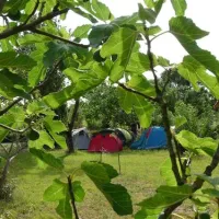 camping-le-verger-dompierre-sur-mer-olktu