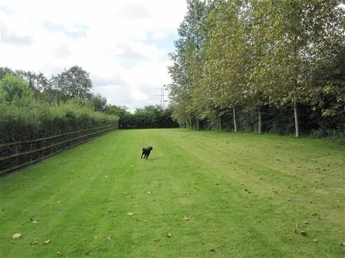 dornafield-newton-abbot-scggo