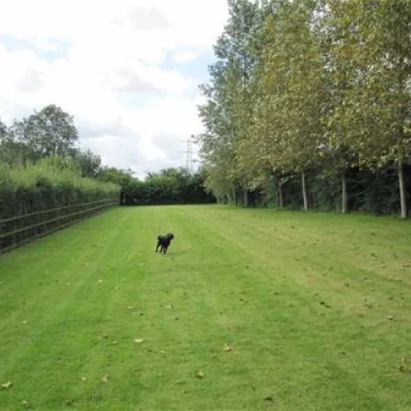 dornafield-newton-abbot-scggo