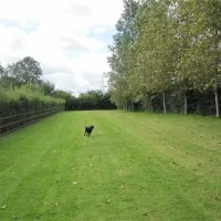 dornafield-newton-abbot-scggo