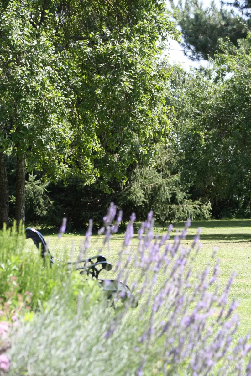 camping-familial-la-vieille-morte-ids-saint-roch-kdwo5