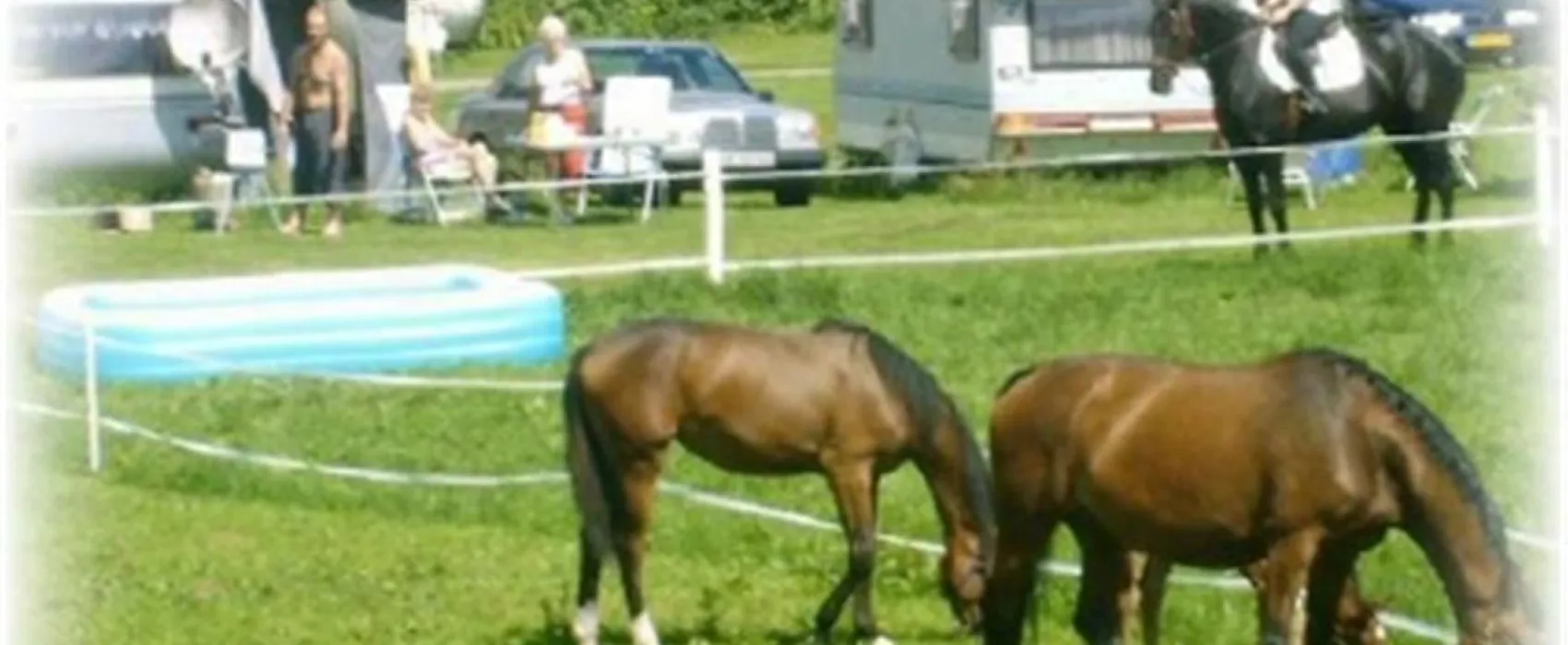 Auhof Camping