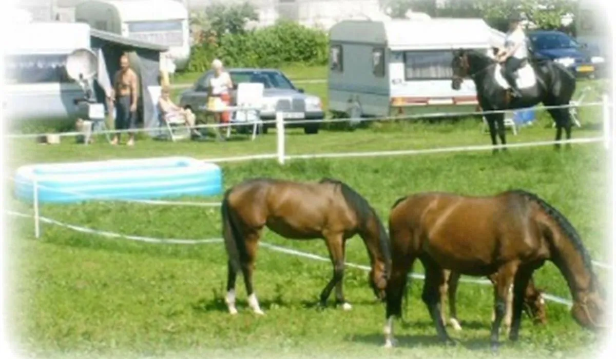 auhof-camping-brs-djcab