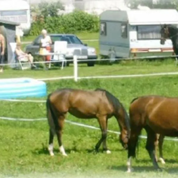 Auhof Camping