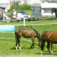 Auhof Camping