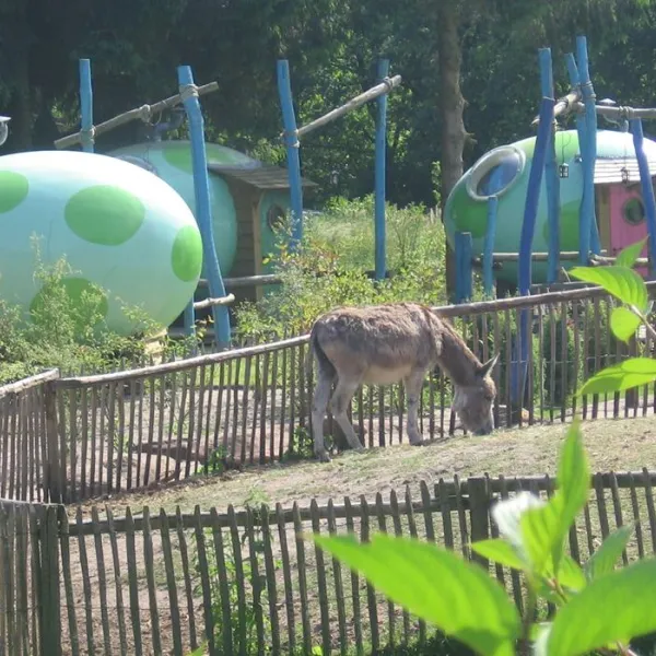camping-de-pampel-hoenderloo-w1dom