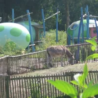 Camping de Pampel
