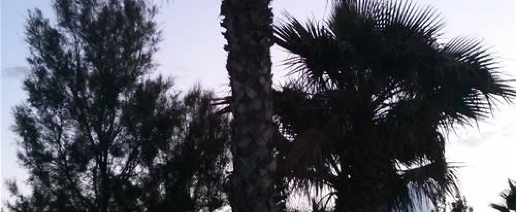 Camping Cala Gogo  