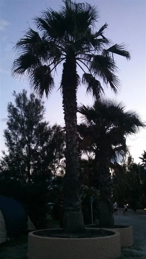 camping-cala-gogo-saint-cyprien-rdxdh